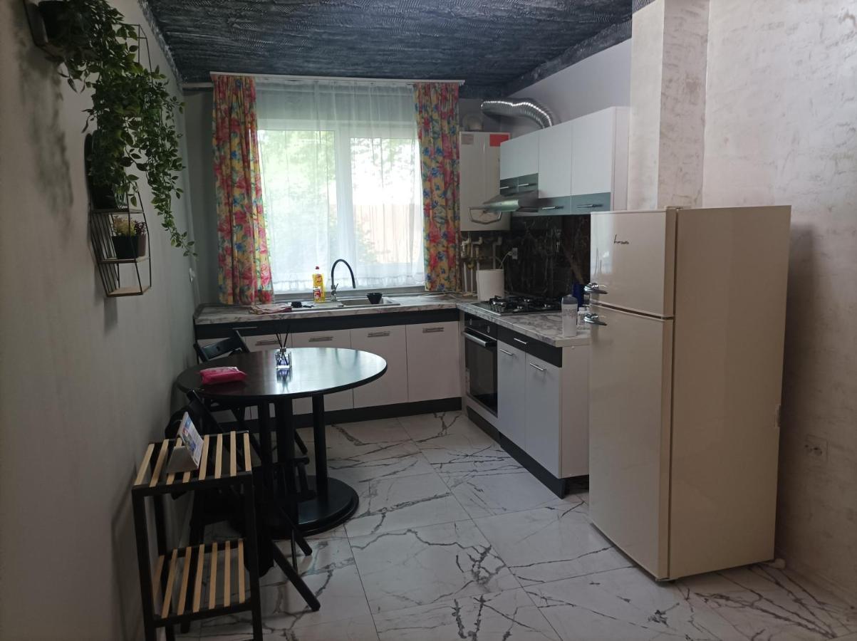 Centrul Vechi Daire Brăila Dış mekan fotoğraf