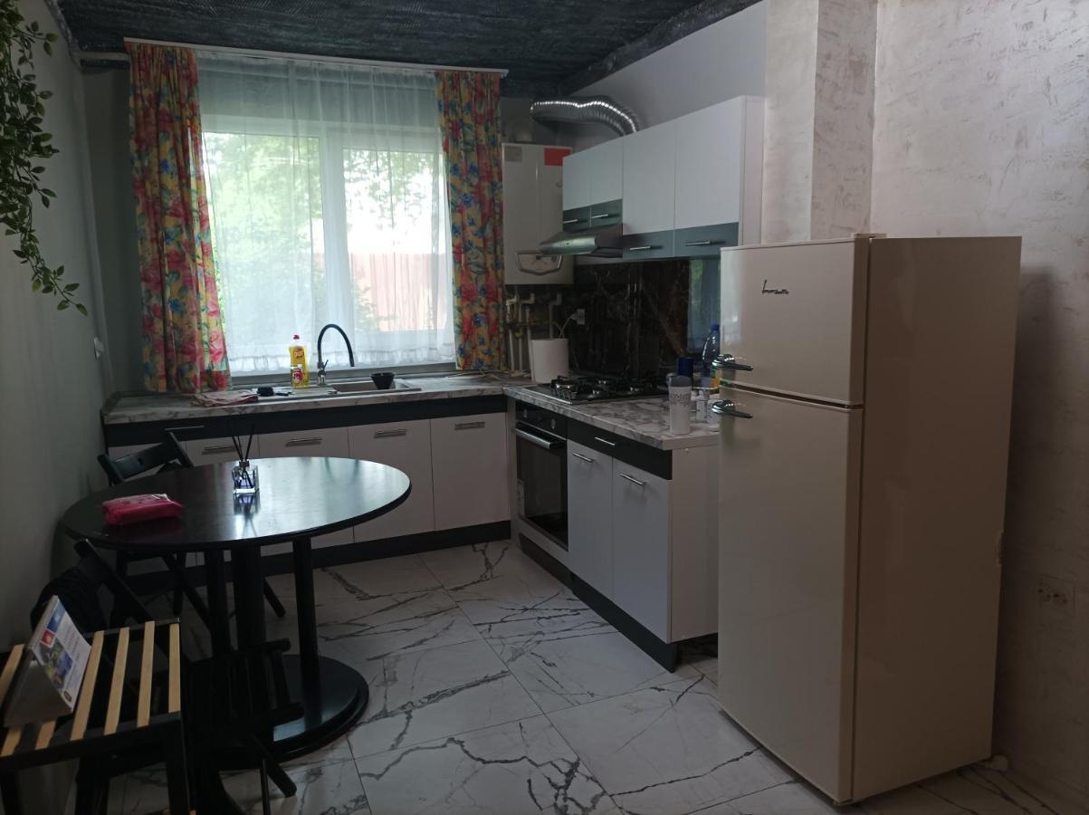 Centrul Vechi Daire Brăila Dış mekan fotoğraf